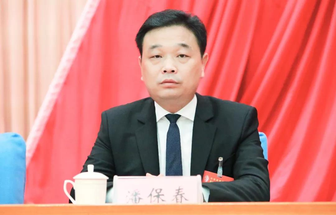 潘保春当选安徽省第十一届青联副主席